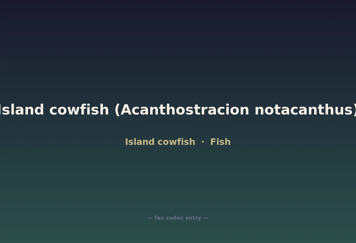 Island cowfish (Acanthostracion notacanthus)