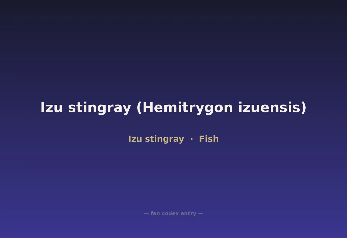 Izu stingray (Hemitrygon izuensis)