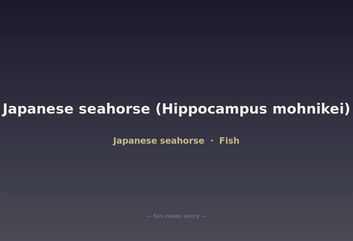 Japanese seahorse (Hippocampus mohnikei)