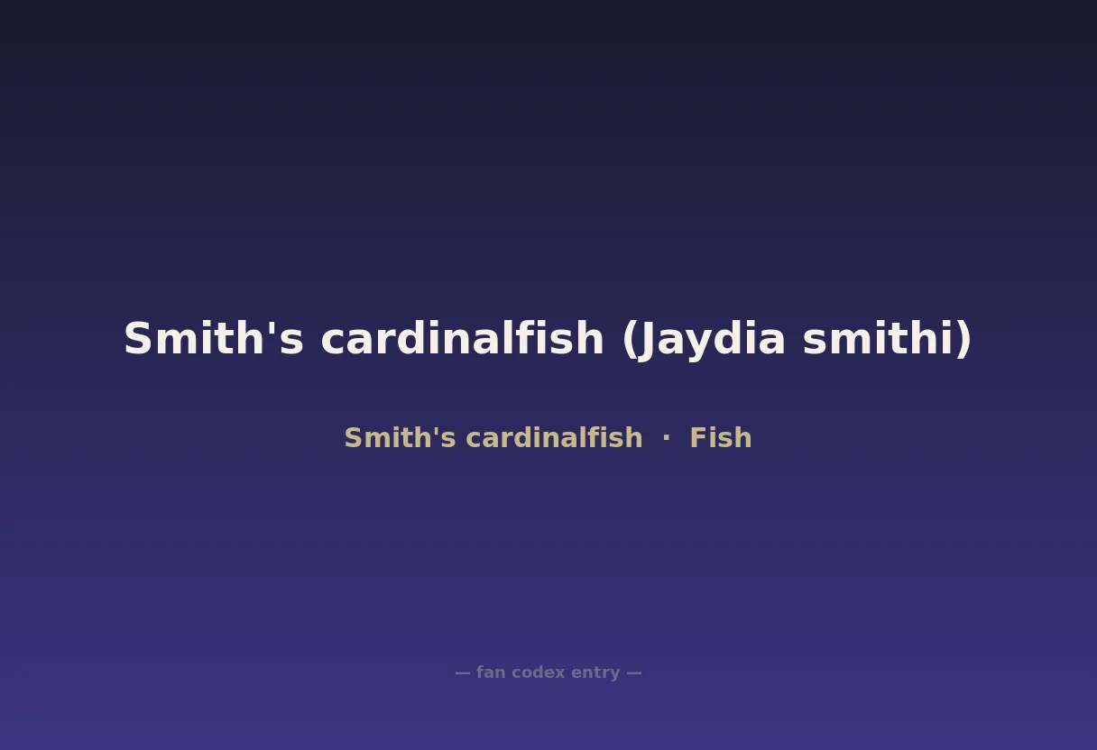 Smith's cardinalfish (Jaydia smithi)