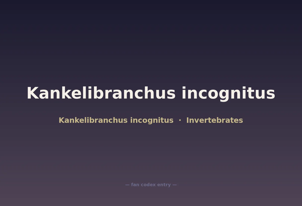 Kankelibranchus incognitus