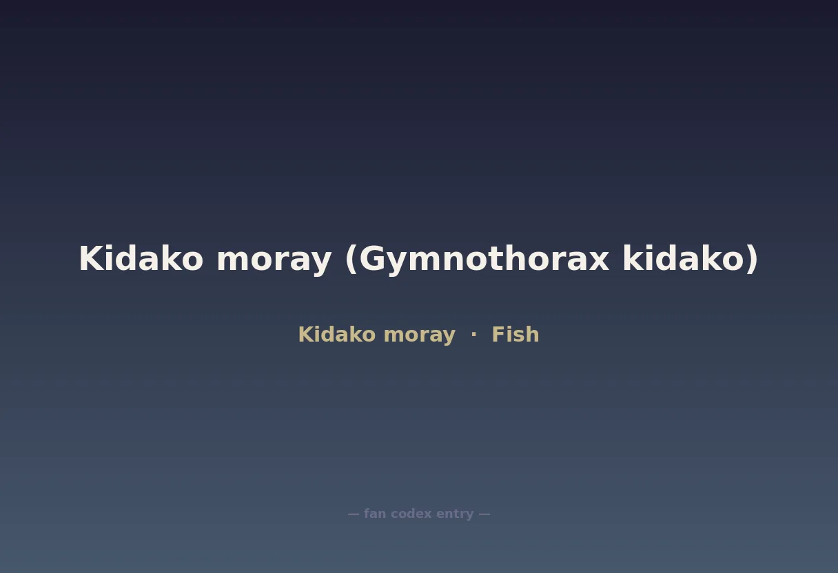 Kidako moray (Gymnothorax kidako)