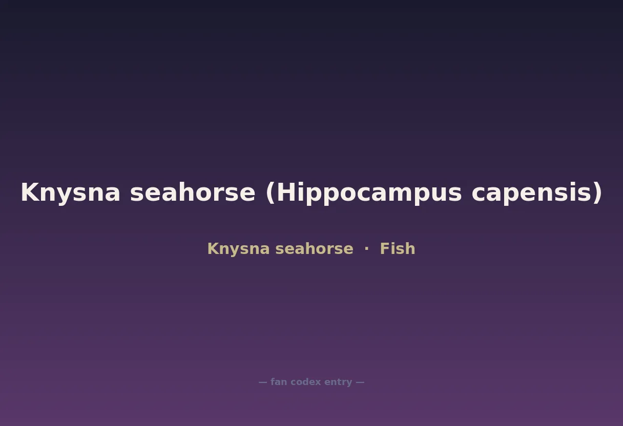 Knysna seahorse (Hippocampus capensis)