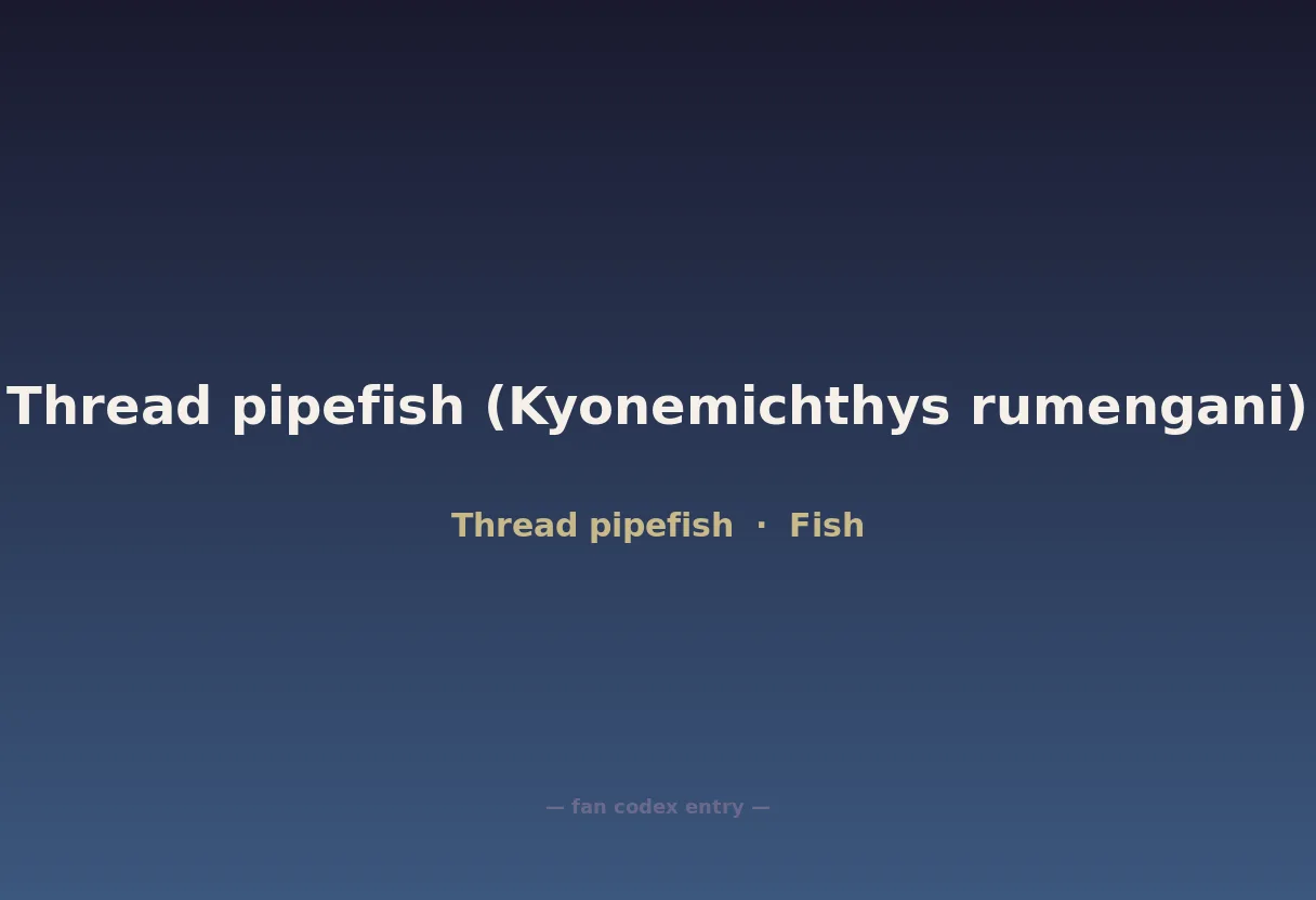 Thread pipefish (Kyonemichthys rumengani)