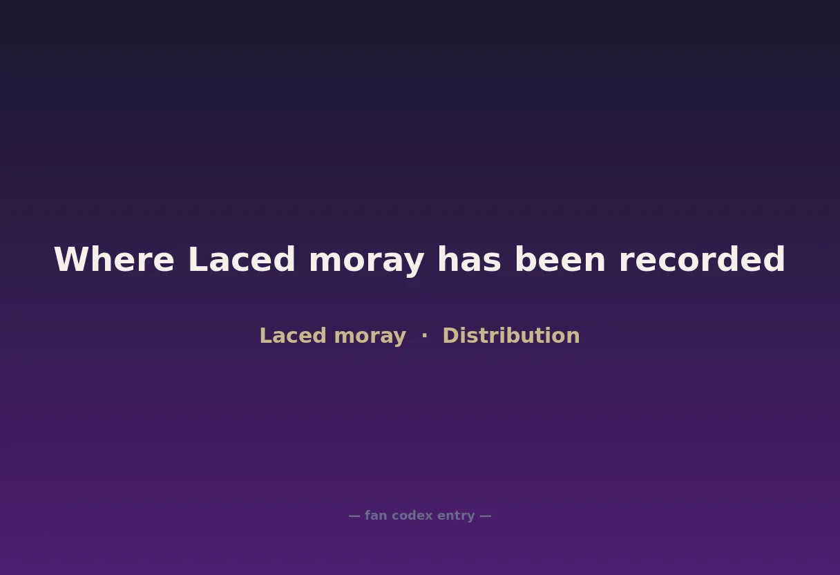 Where Laced moray has been recorded