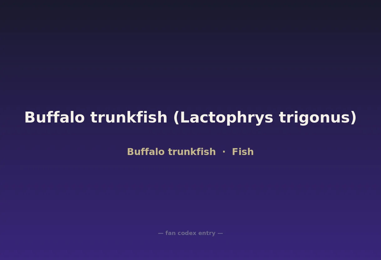 Buffalo trunkfish (Lactophrys trigonus)