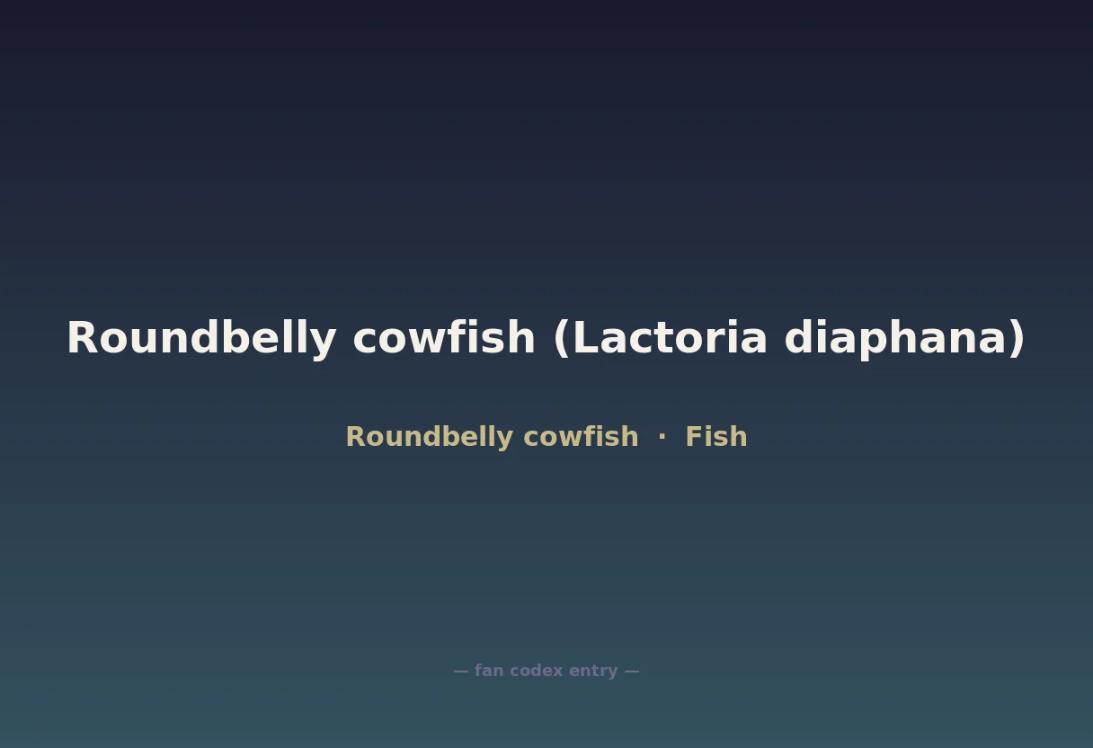 Roundbelly cowfish (Lactoria diaphana)