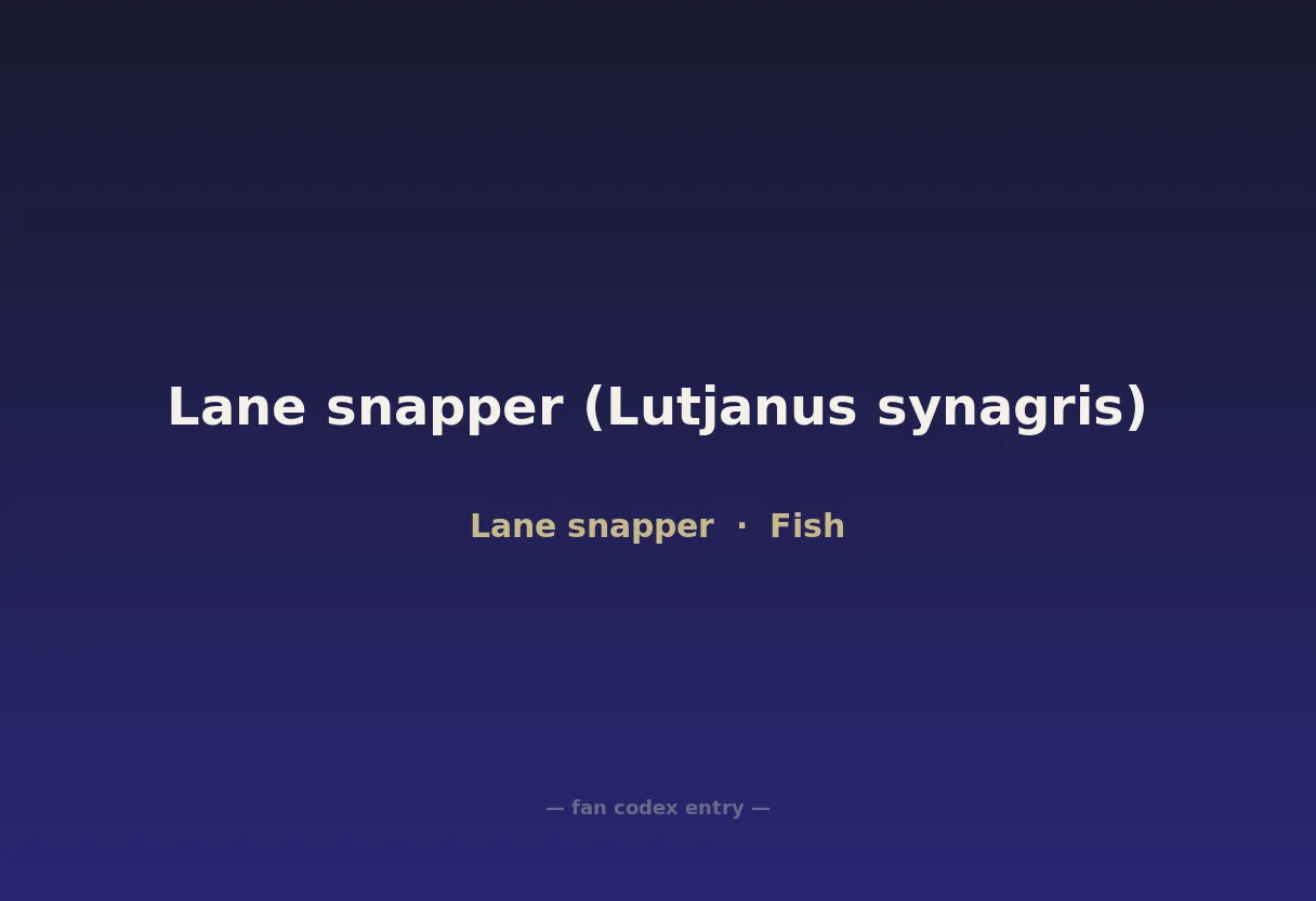 Lane snapper (Lutjanus synagris)