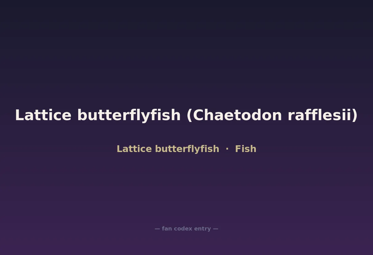 Lattice butterflyfish (Chaetodon rafflesii)