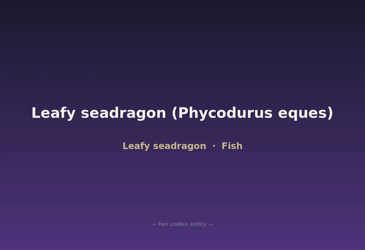 Leafy seadragon (Phycodurus eques)