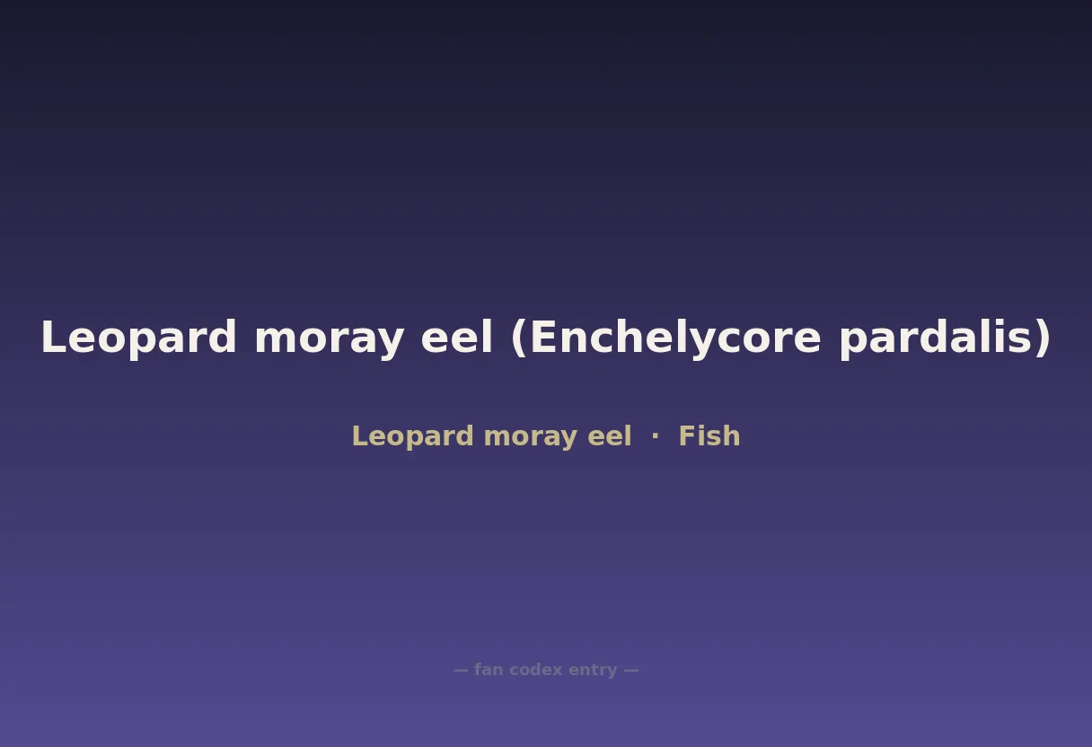 Leopard moray eel (Enchelycore pardalis)