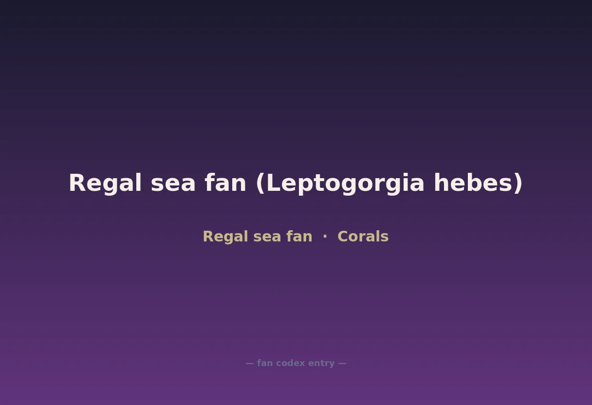 Regal sea fan (Leptogorgia hebes)
