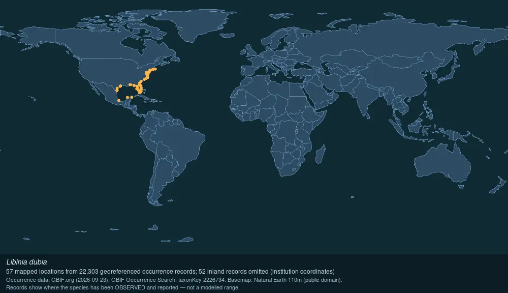 Where Longnose spider crab has been recorded