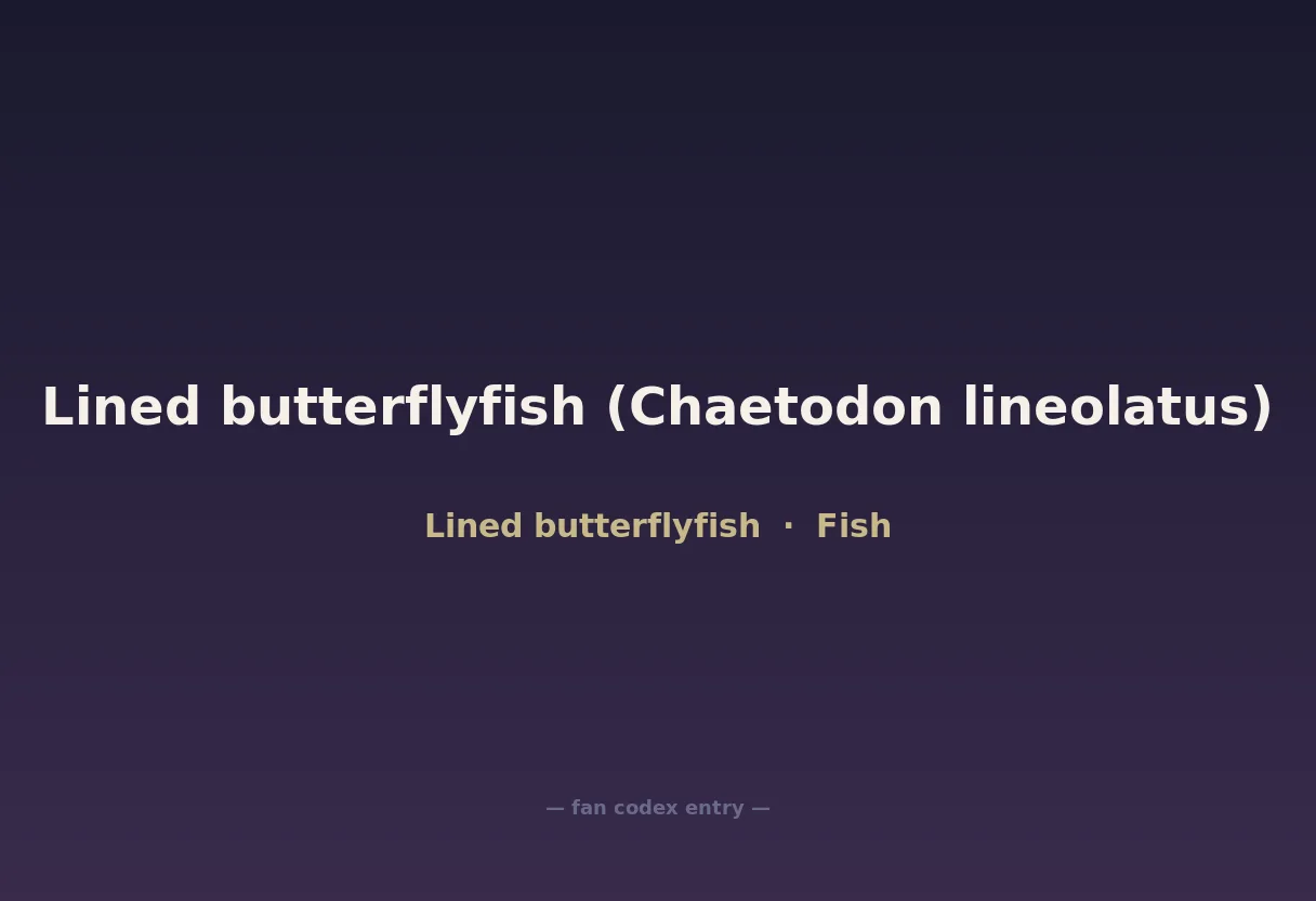 Lined butterflyfish (Chaetodon lineolatus)