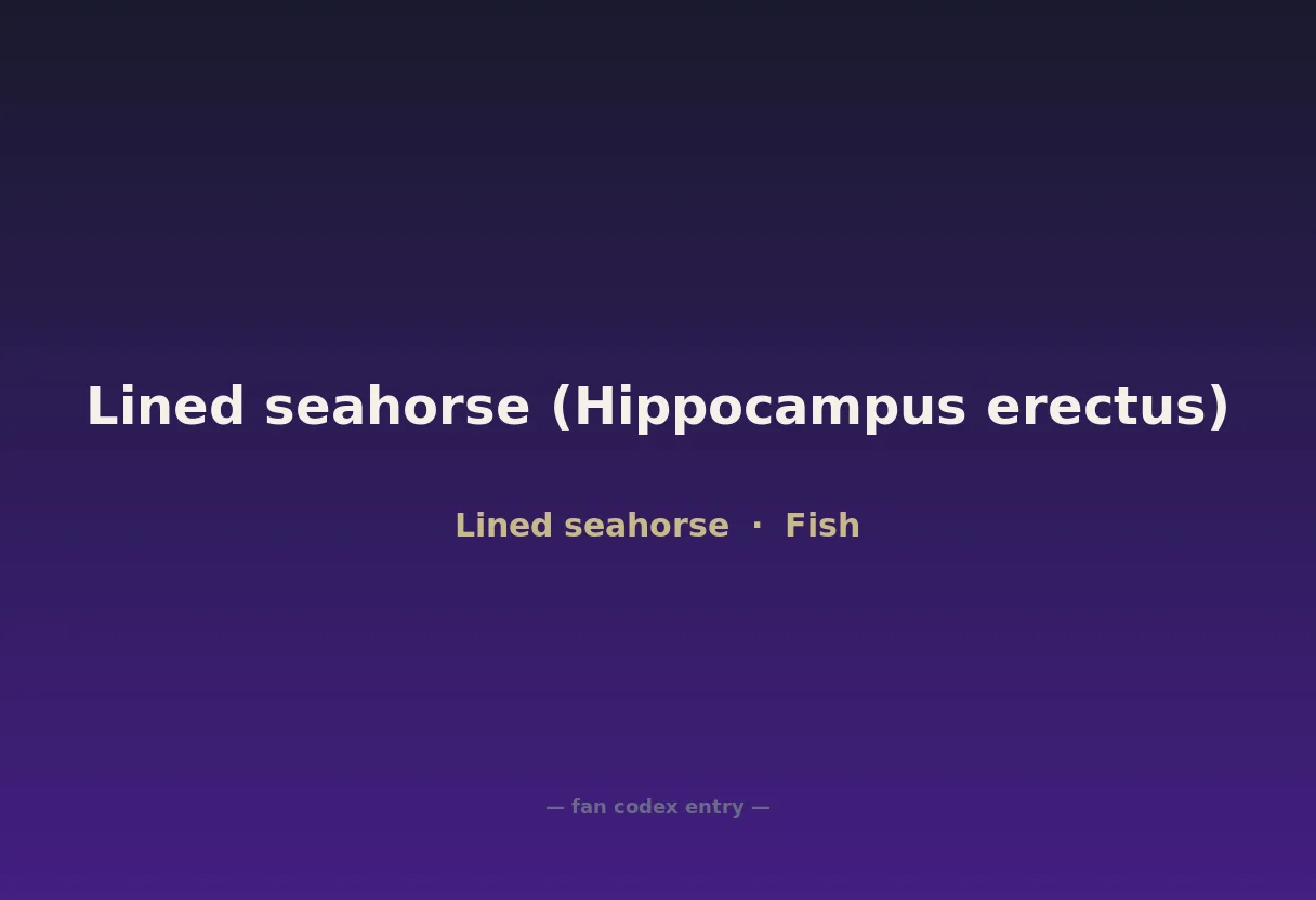 Lined seahorse (Hippocampus erectus)