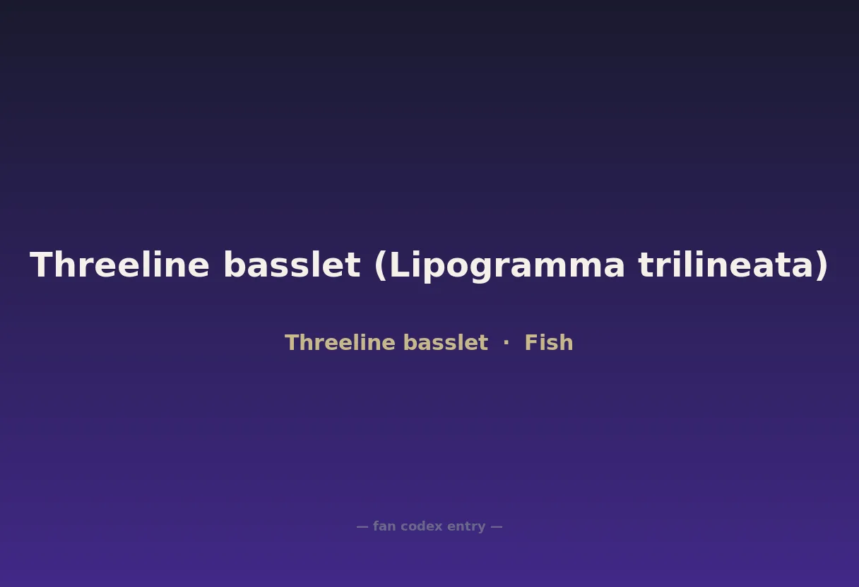 Threeline basslet (Lipogramma trilineata)