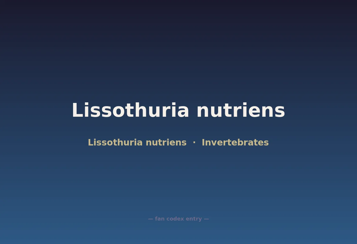 Lissothuria nutriens