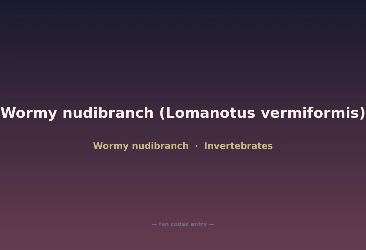 Wormy nudibranch (Lomanotus vermiformis)
