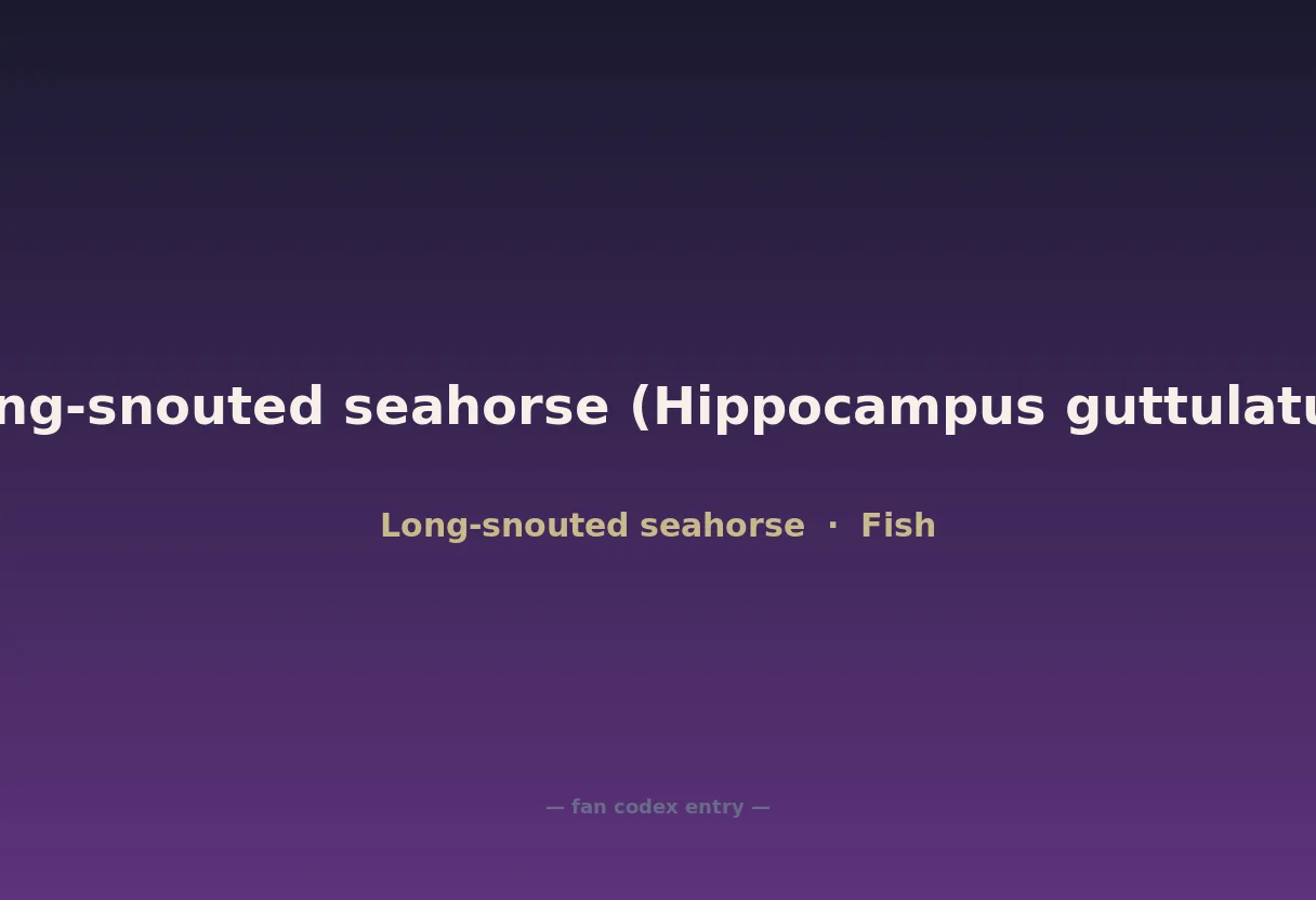 Long-snouted seahorse (Hippocampus guttulatus)