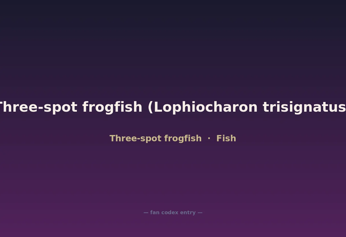Three-spot frogfish (Lophiocharon trisignatus)