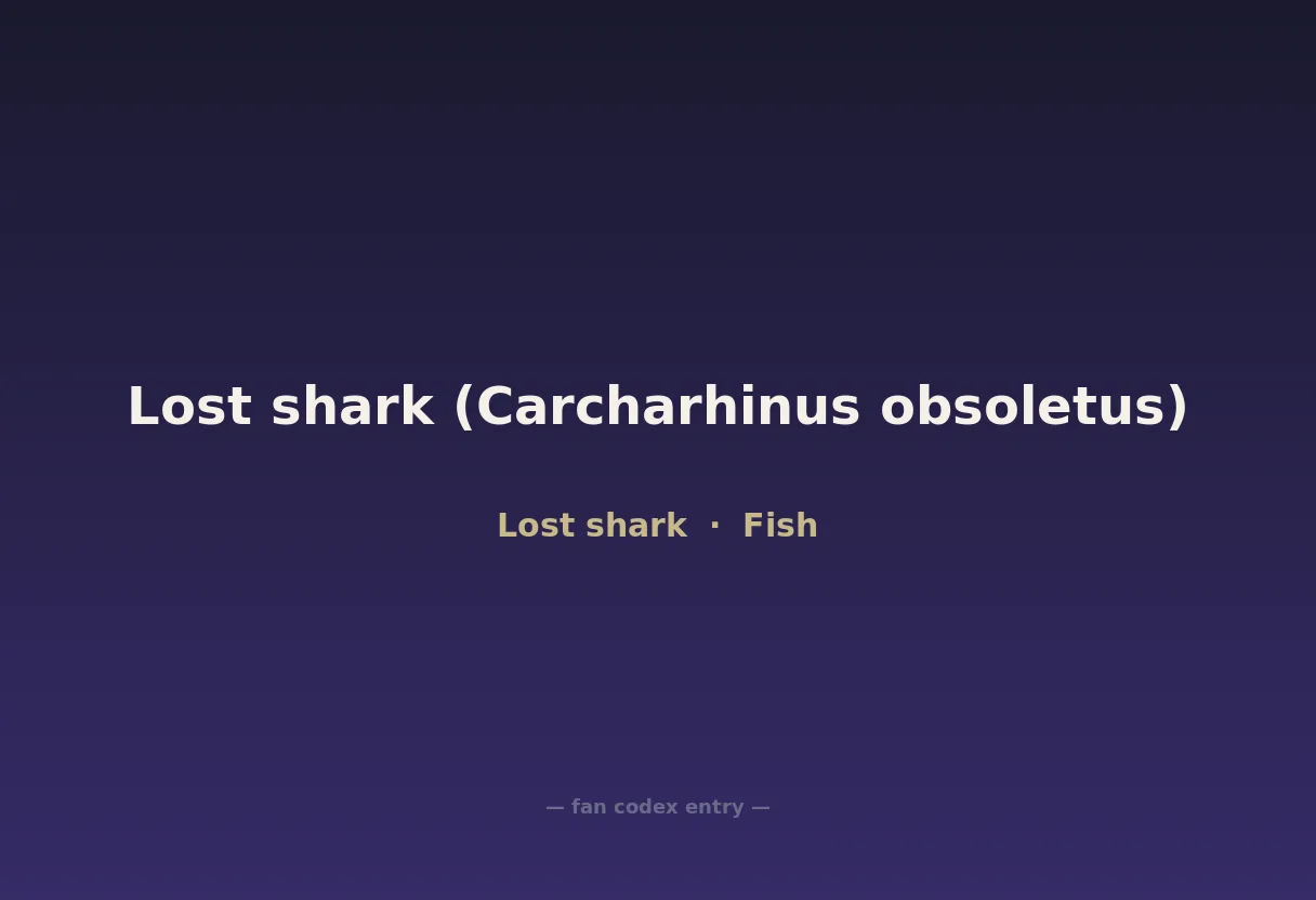 Lost shark (Carcharhinus obsoletus)