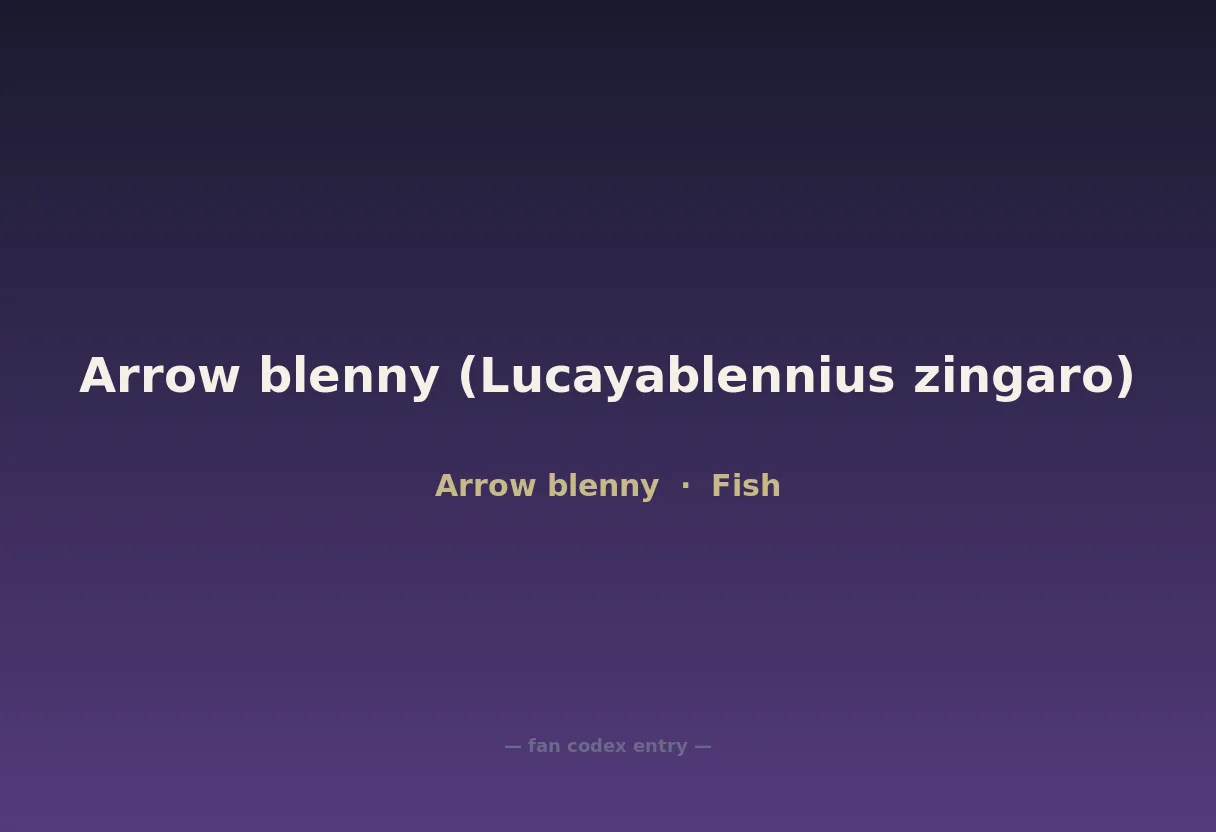Arrow blenny (Lucayablennius zingaro)