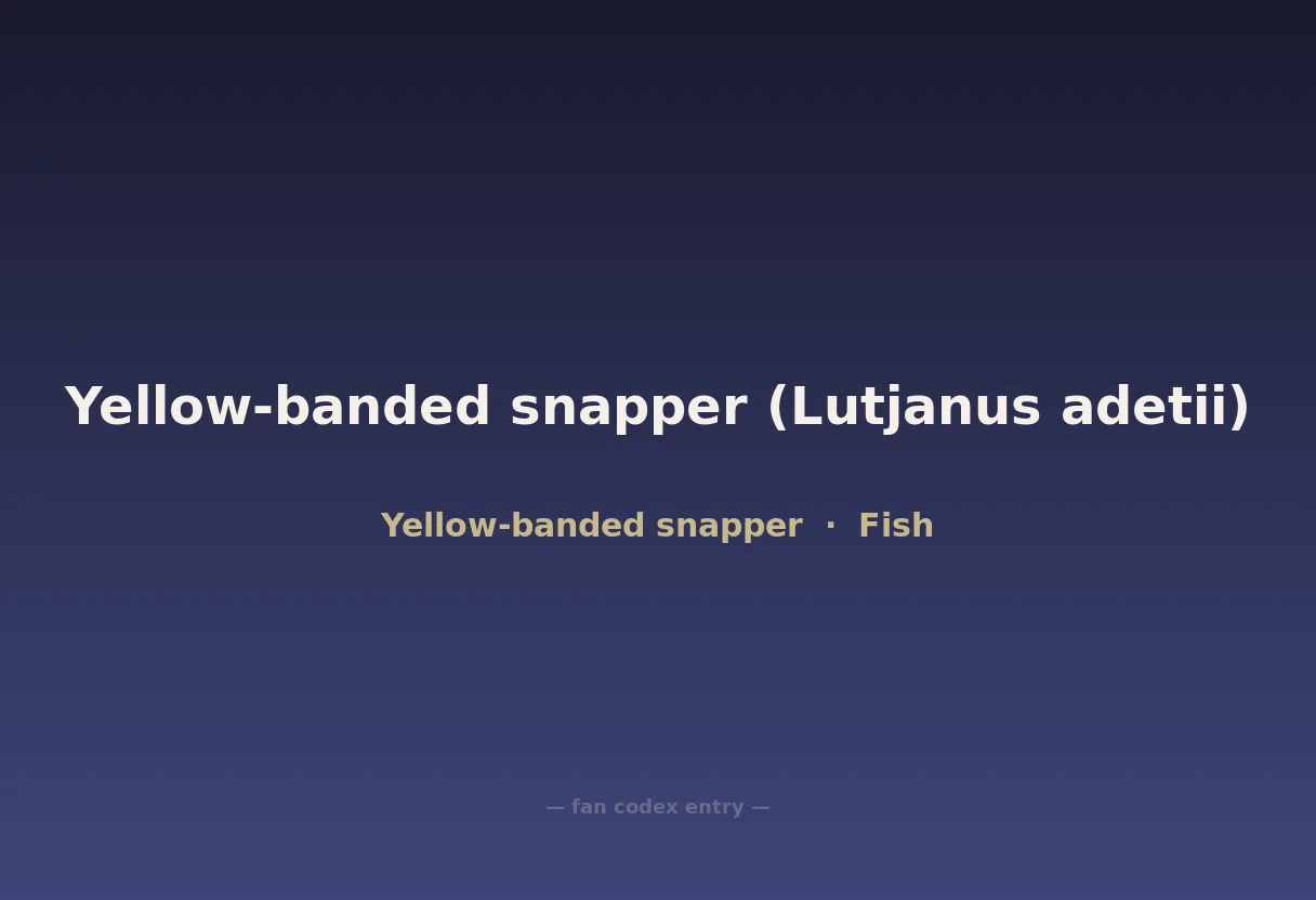 Yellow-banded snapper (Lutjanus adetii)