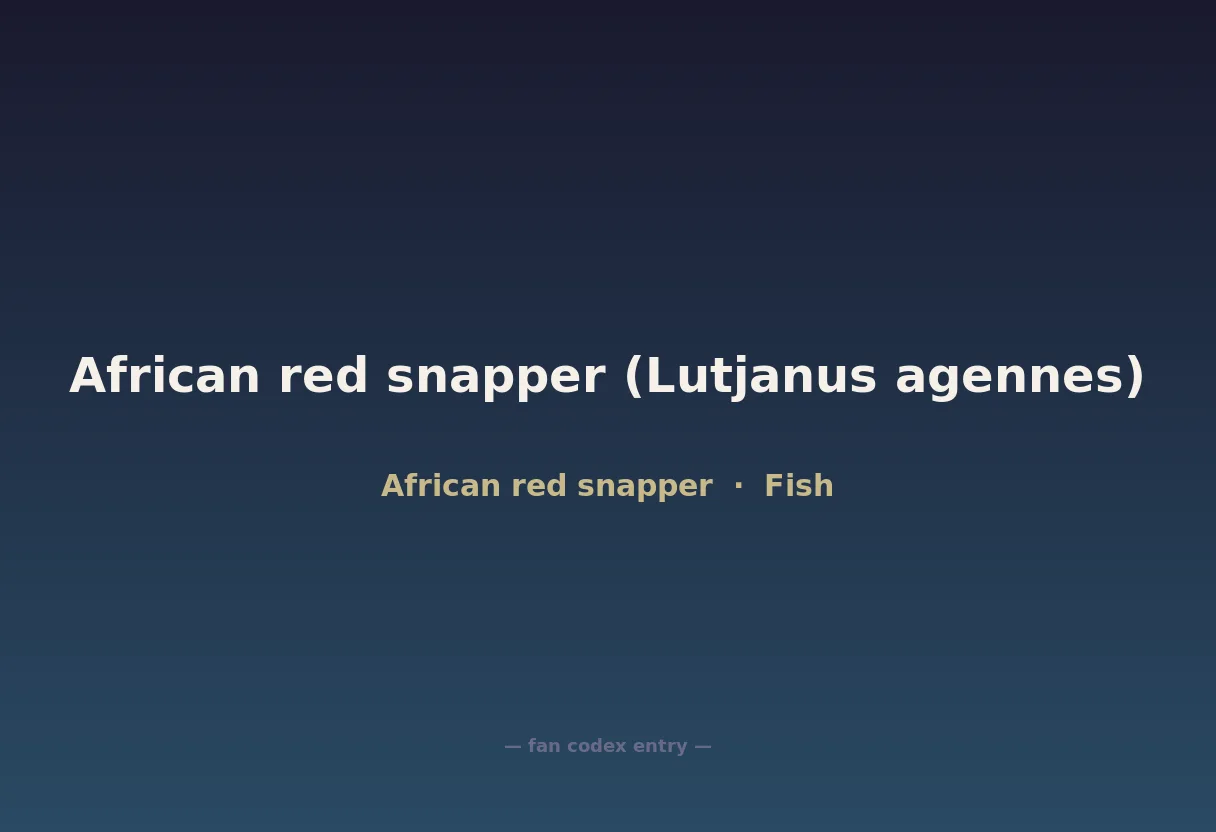 African red snapper (Lutjanus agennes)