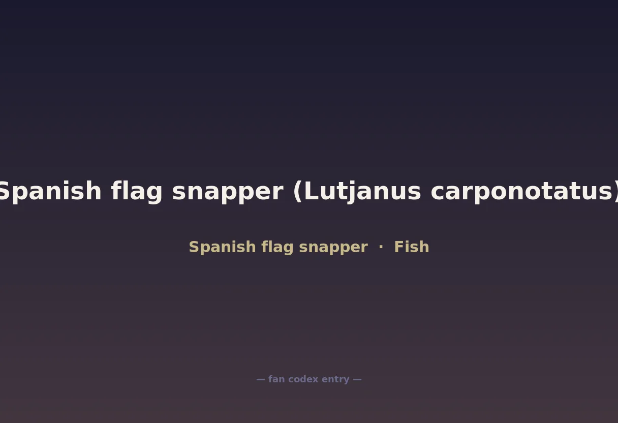 Spanish flag snapper (Lutjanus carponotatus)