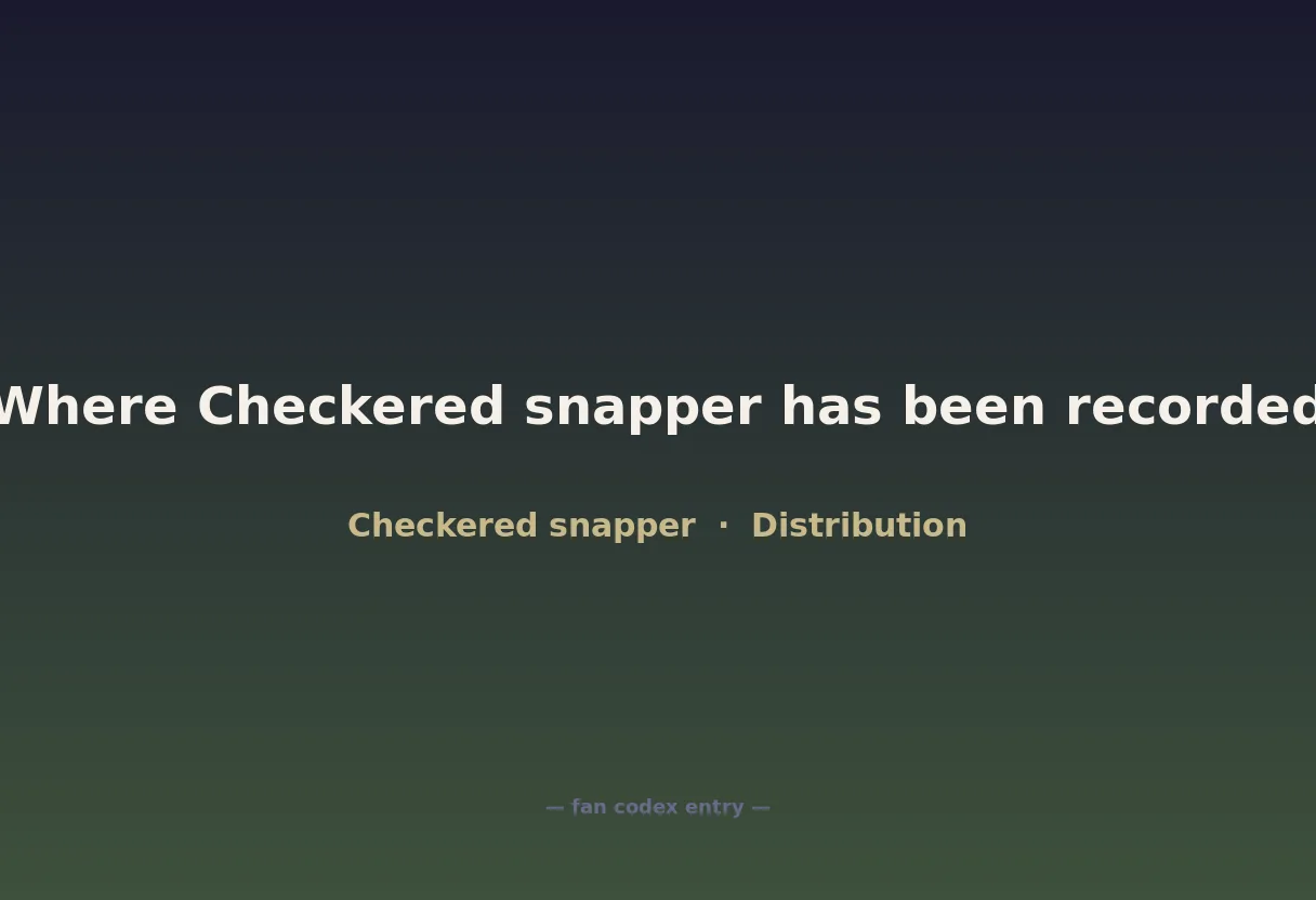 Where Checkered snapper has been recorded