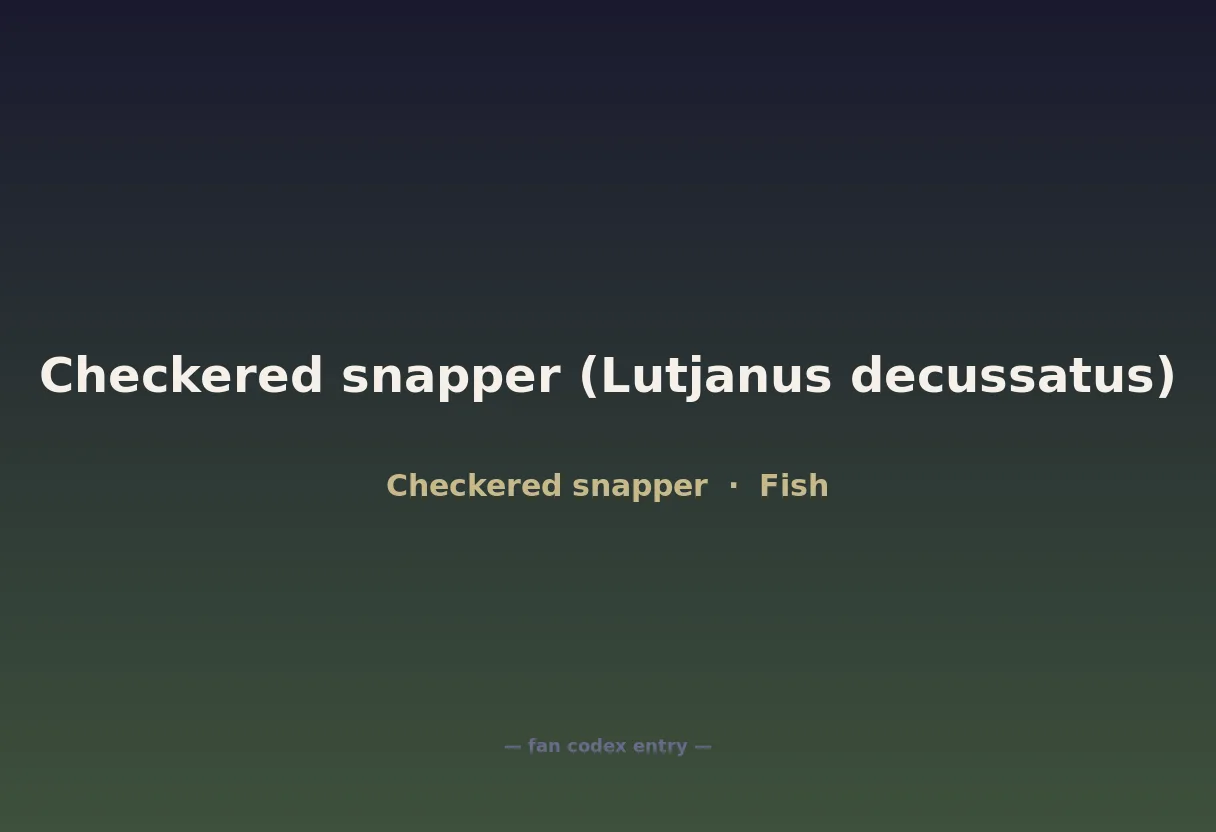 Checkered snapper (Lutjanus decussatus)