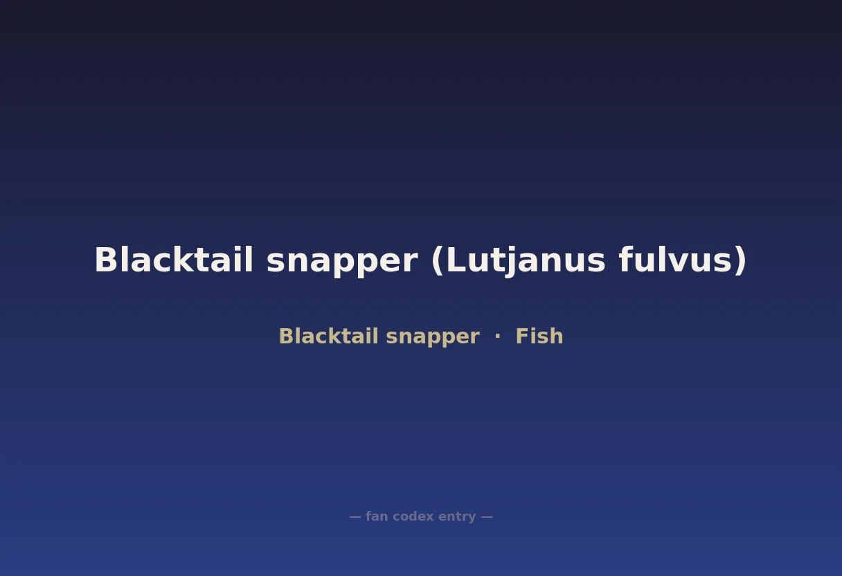 Blacktail snapper (Lutjanus fulvus)