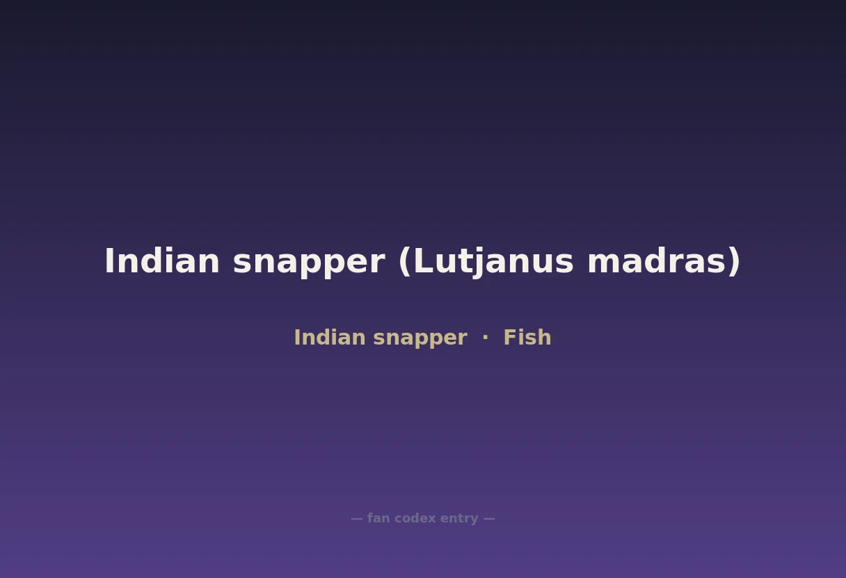Indian snapper (Lutjanus madras)