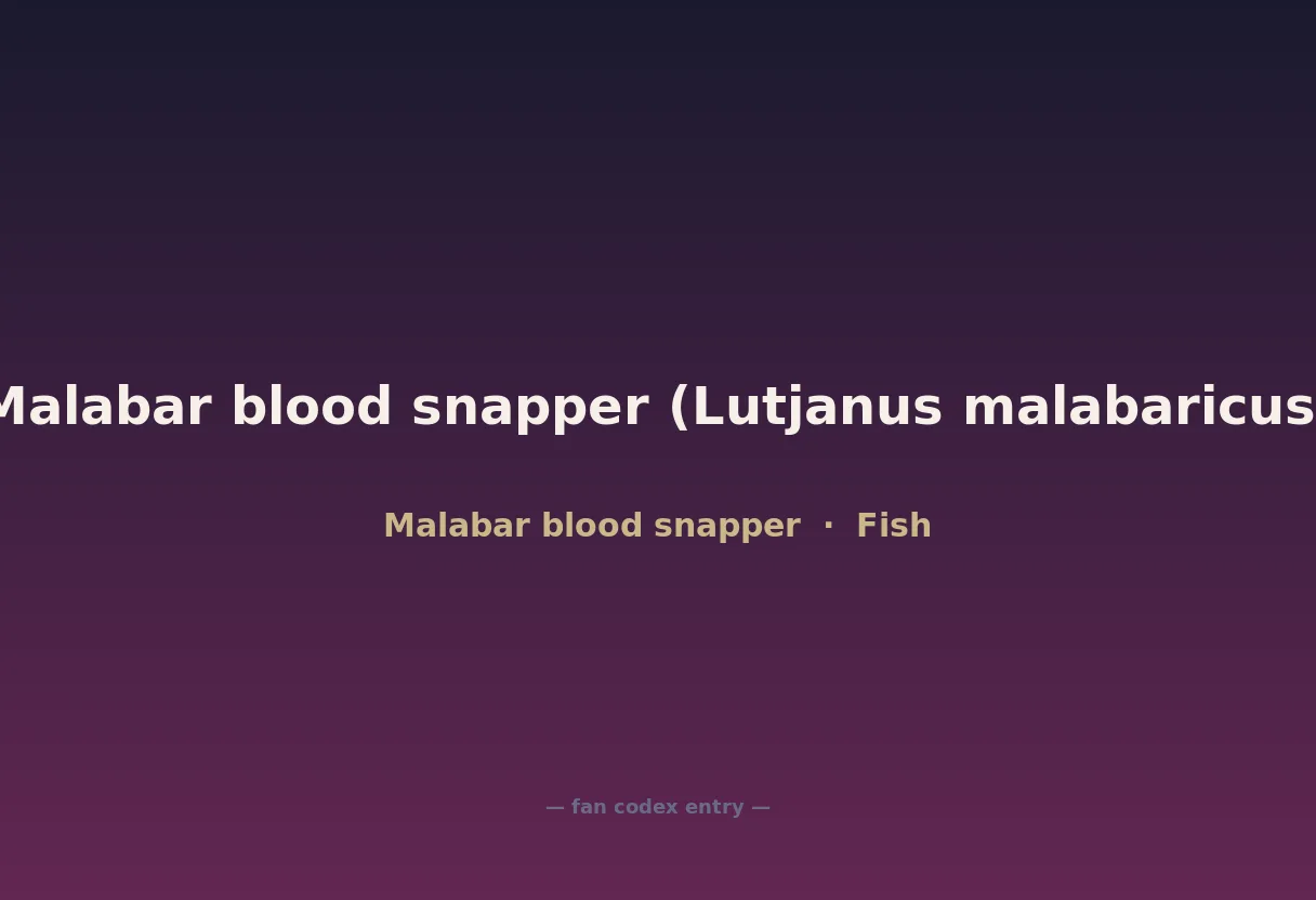 Malabar blood snapper (Lutjanus malabaricus)