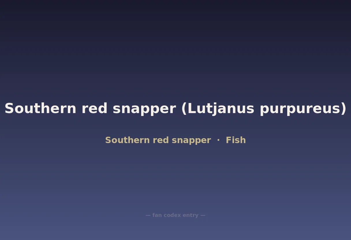 Southern red snapper (Lutjanus purpureus)