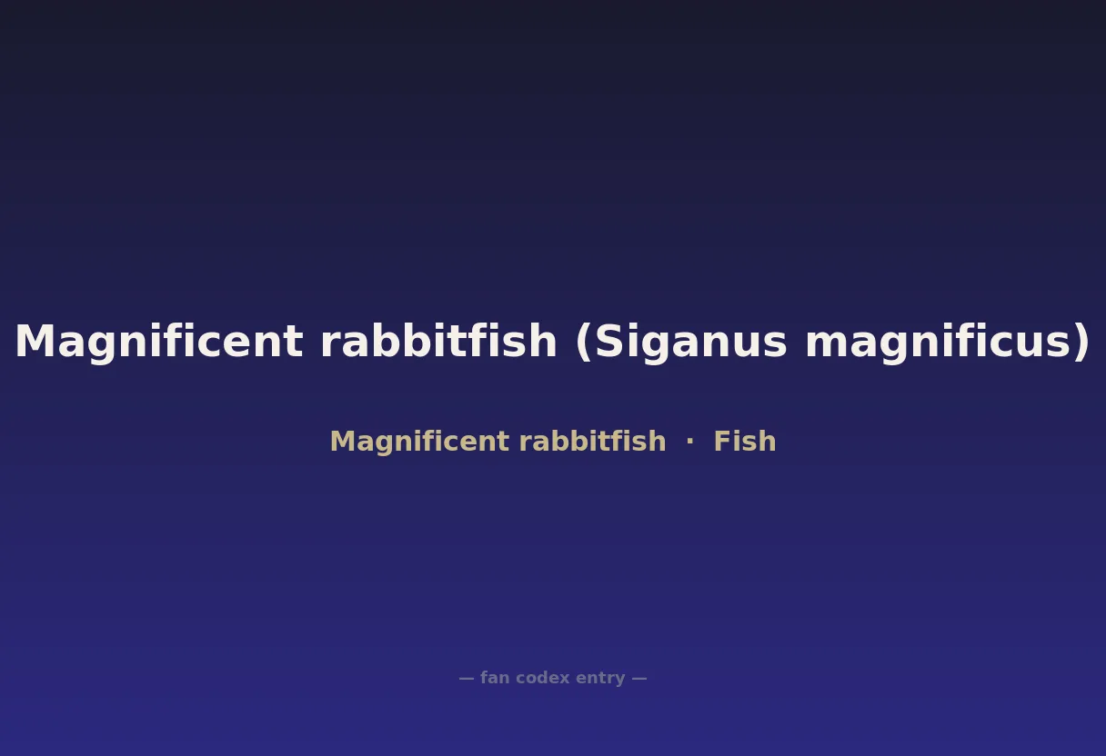 Magnificent rabbitfish (Siganus magnificus)