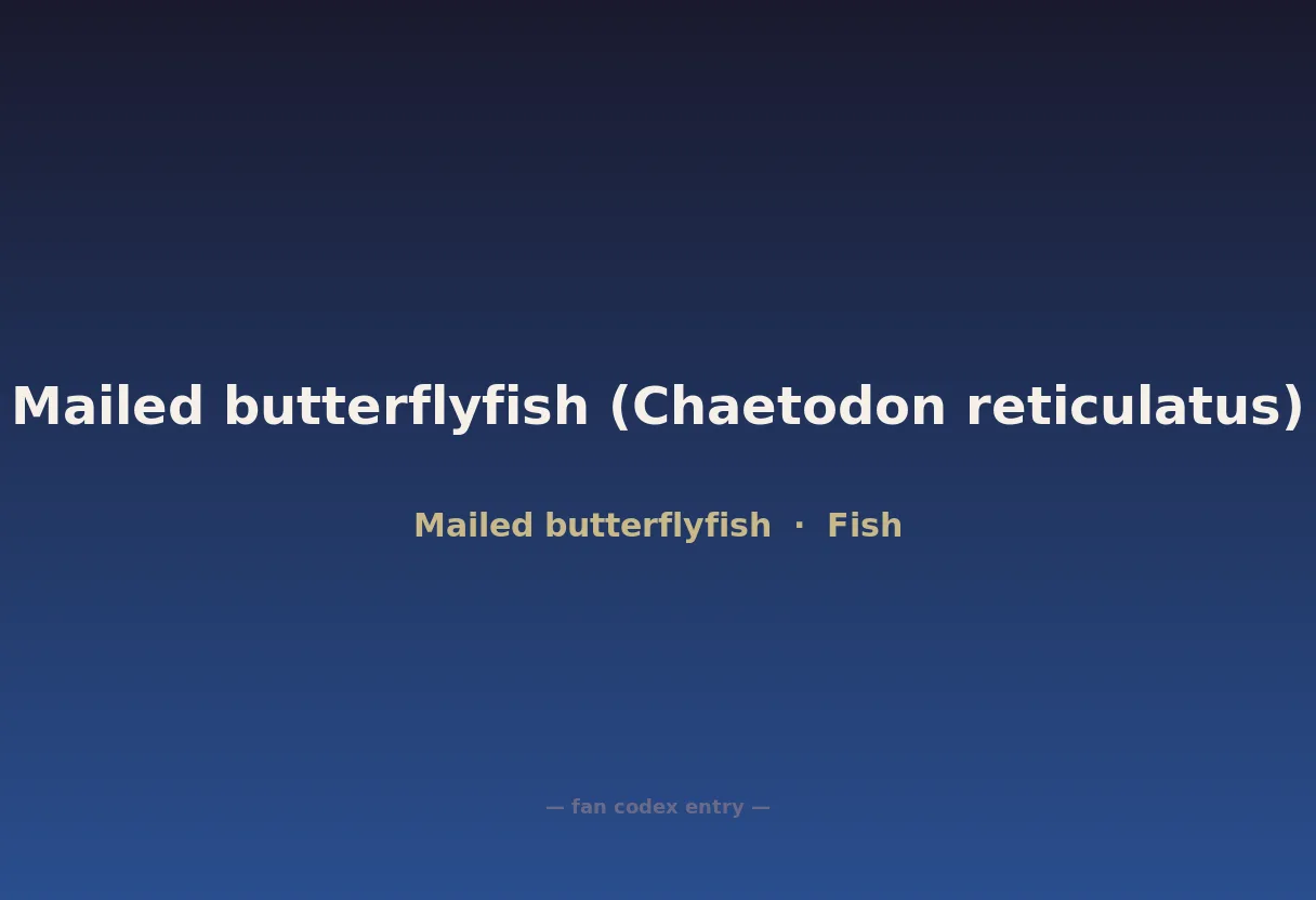 Mailed butterflyfish (Chaetodon reticulatus)
