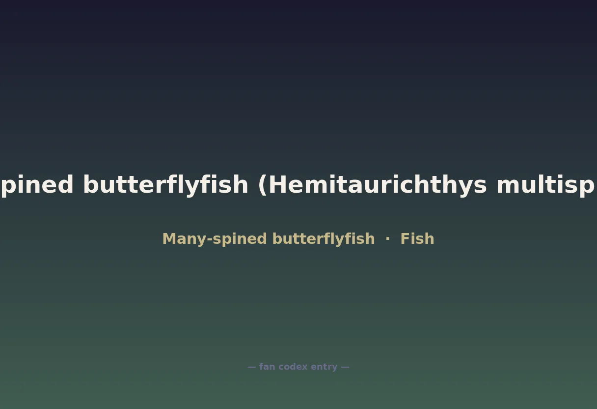 Many-spined butterflyfish (Hemitaurichthys multispinosus)