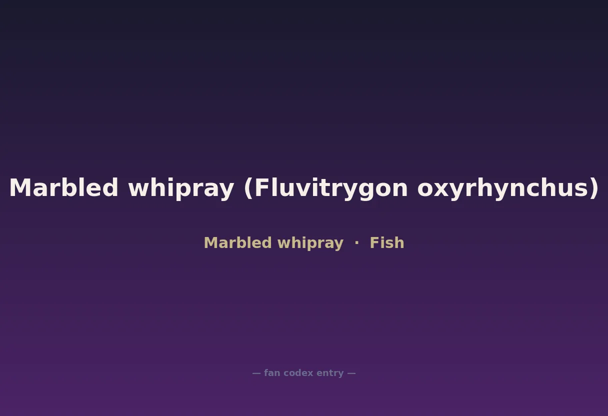 Marbled whipray (Fluvitrygon oxyrhynchus)