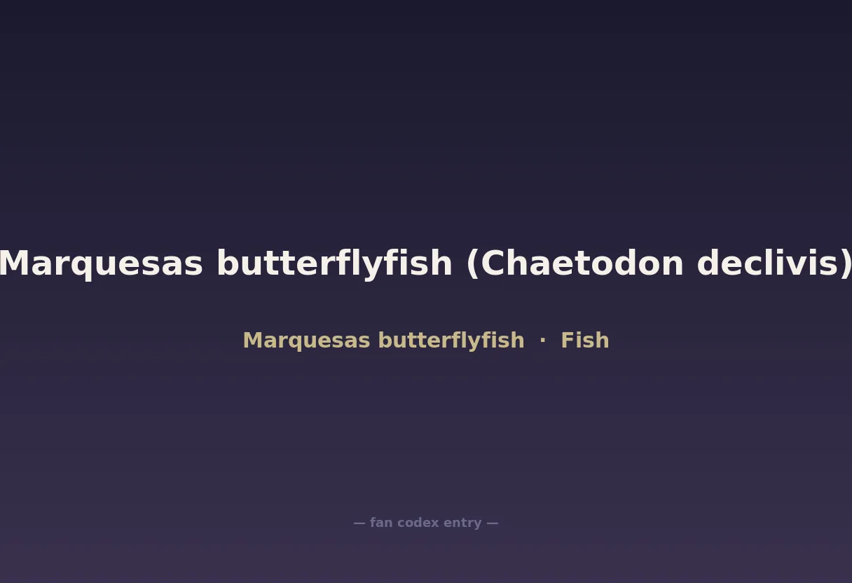 Marquesas butterflyfish (Chaetodon declivis)