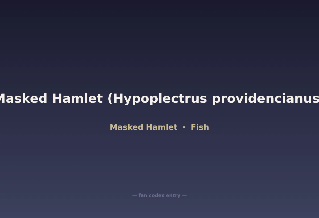 Masked Hamlet (Hypoplectrus providencianus)