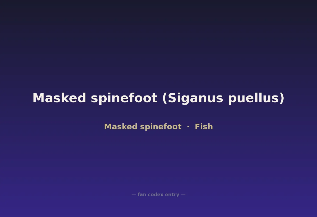 Masked spinefoot (Siganus puellus)