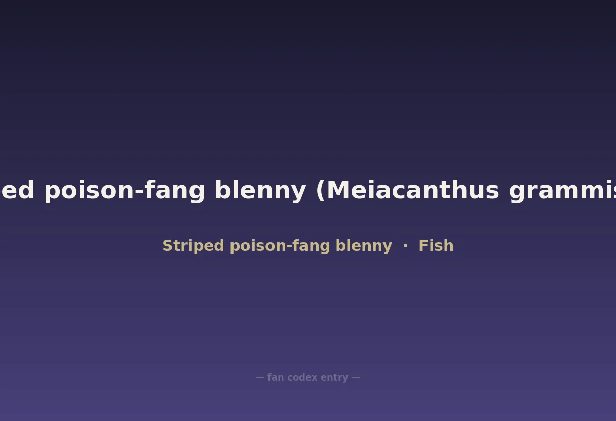 Striped poison-fang blenny (Meiacanthus grammistes)