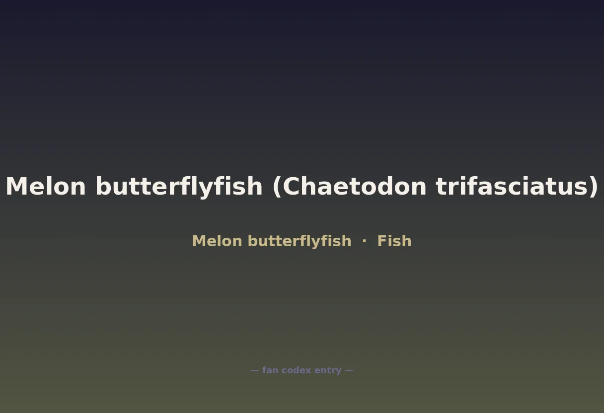 Melon butterflyfish (Chaetodon trifasciatus)