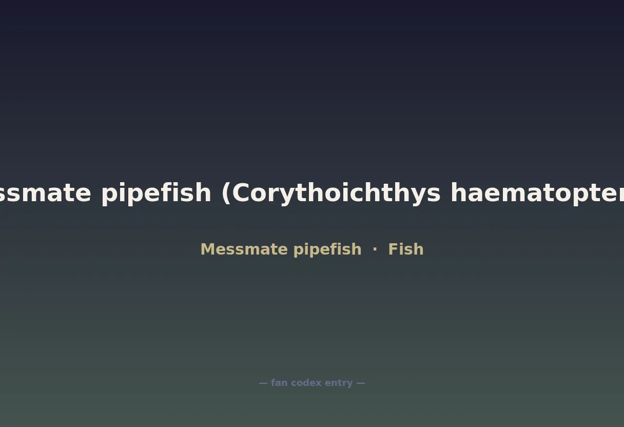 Messmate pipefish (Corythoichthys haematopterus)