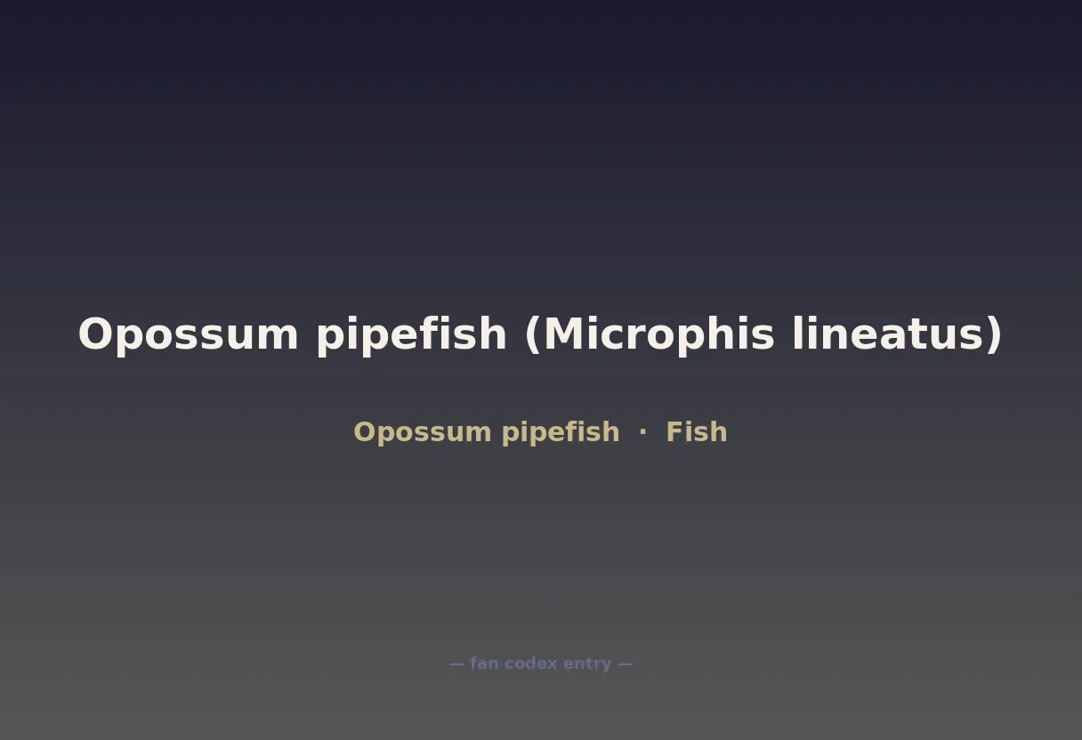 Opossum pipefish (Microphis lineatus)