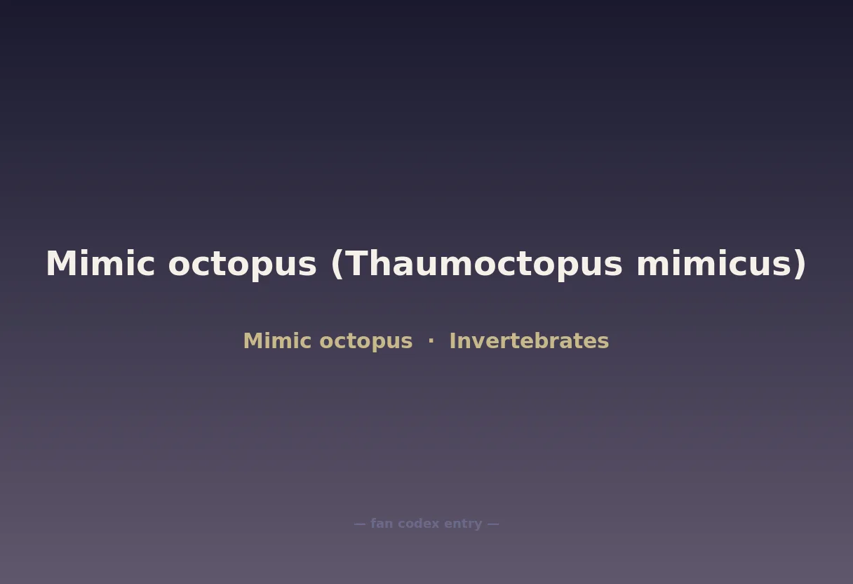 Mimic octopus (Thaumoctopus mimicus)