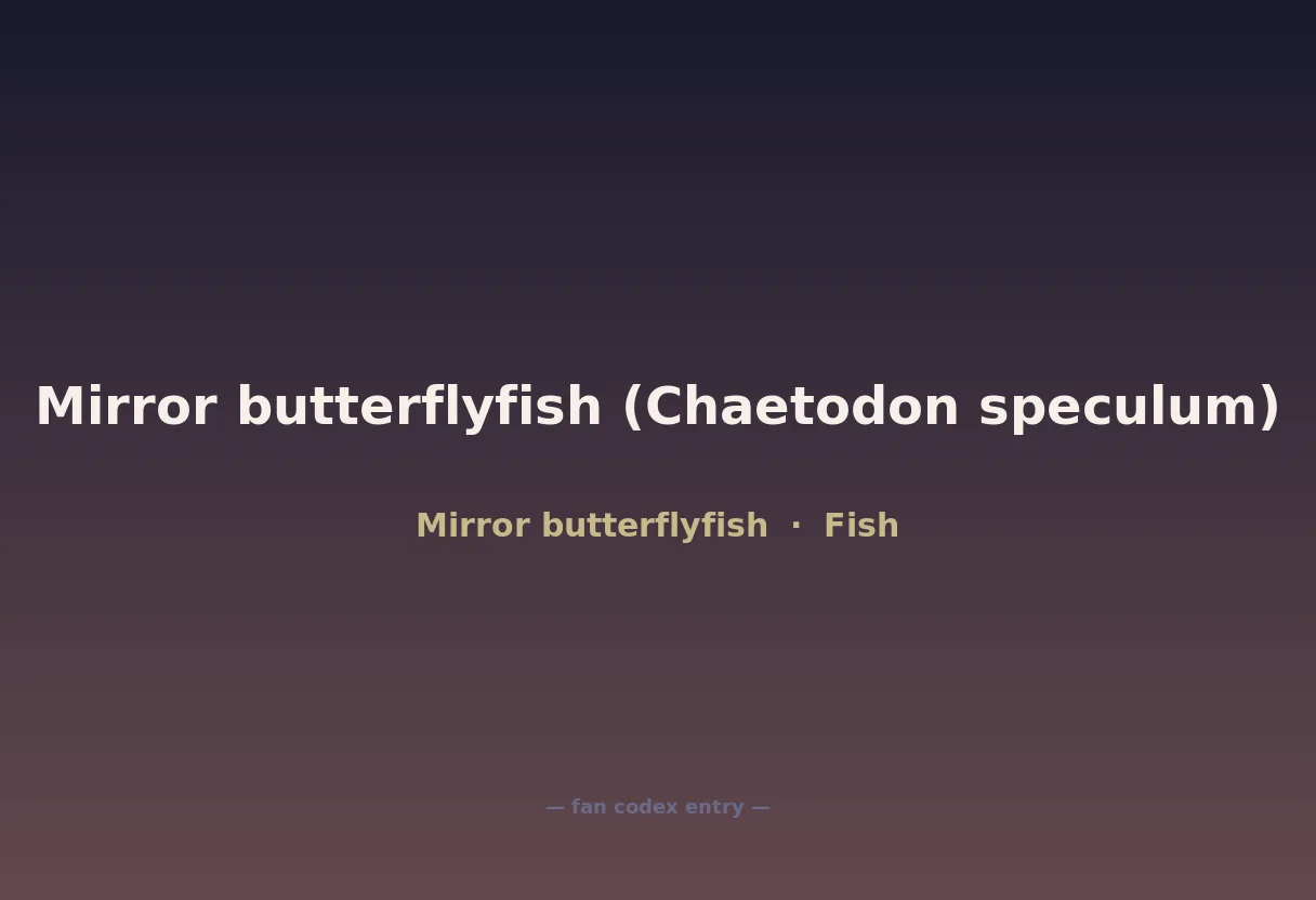 Mirror butterflyfish (Chaetodon speculum)