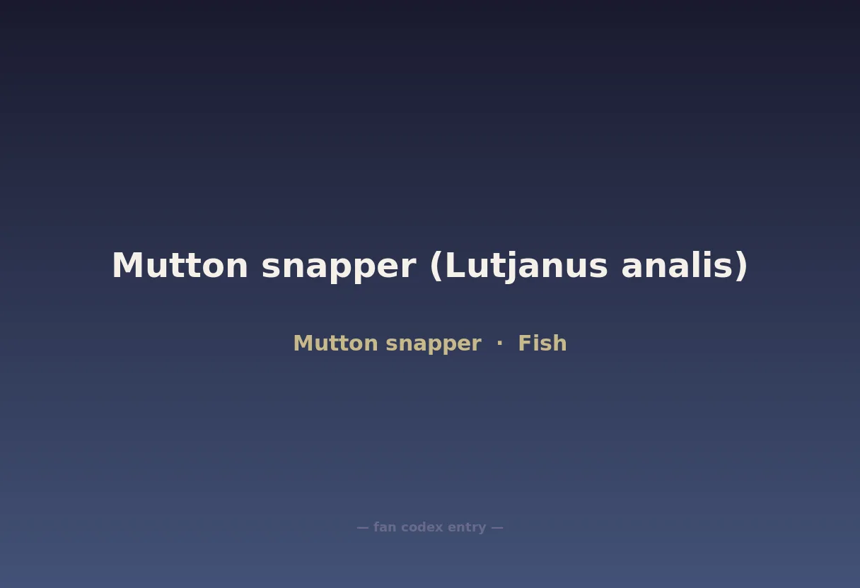 Mutton snapper (Lutjanus analis)