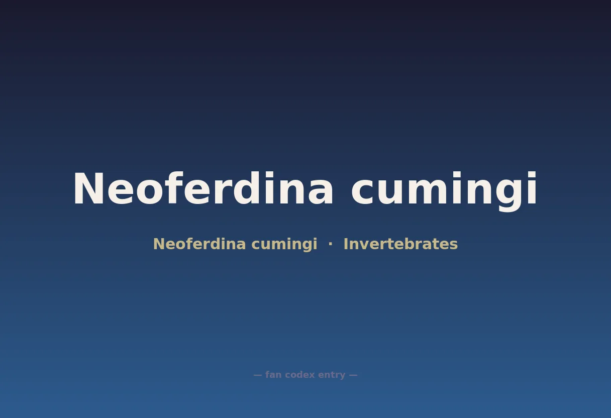 Neoferdina cumingi